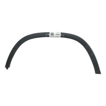 Moldura Paralama Tra...